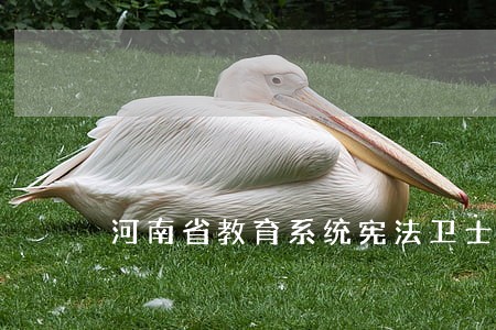 河南省教育系统宪法卫士全套讲解