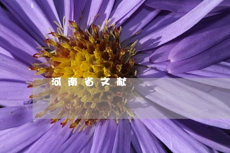 河南省文献