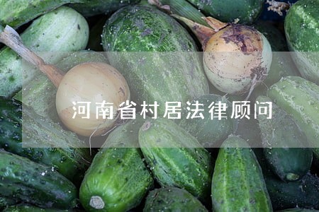 河南省村居法律顾问 河南省村居法律顾问