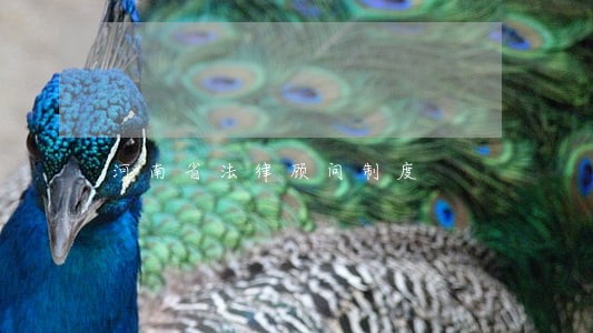 河南省法律顾问制度 河南省法律顾问制度