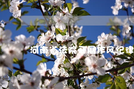 河南省法院开展作风纪律大检查 河南省法院开展作风纪律大检查