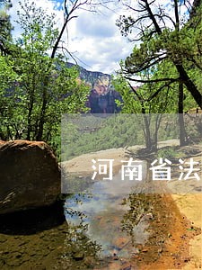河南省法院执行局曹 河南省法院执行局曹