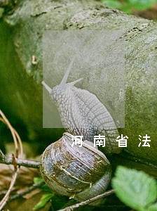 河南省法院法官联系方式