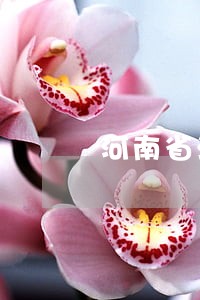 河南省法院莅临平顶山湛 河南省法院莅临平顶山湛