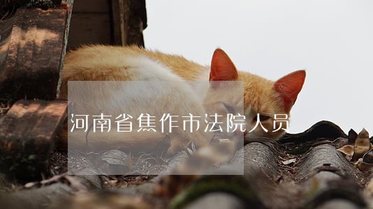 河南省焦作市法院人员