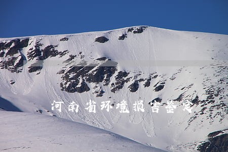 河南省环境损害鉴定