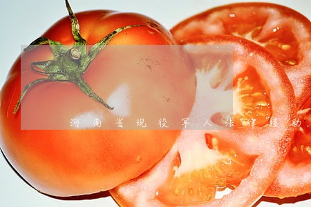 河南省现役军人法律援助电话 河南省现役军人法律援助电话