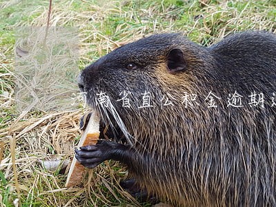 河南省直公积金逾期还款 河南省直公积金逾期还款
