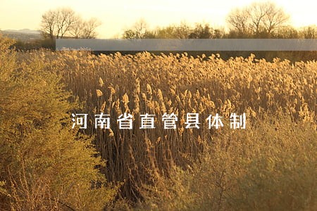河南省直管县体制 河南省直管县体制