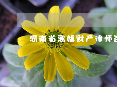河南省离婚财产律师咨询免费