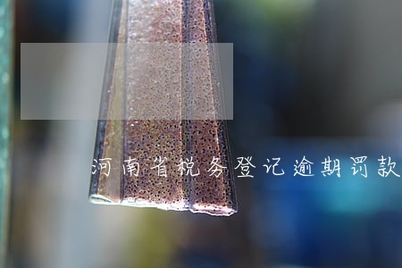 河南省税务登记逾期罚款 河南省税务登记逾期罚款