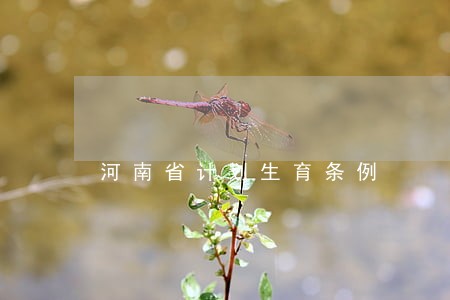 河南省计划生育条例 河南省计划生育条例