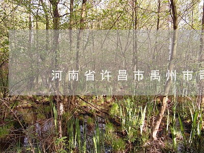 河南省许昌市禹州市司法局 河南省许昌市禹州市司法局