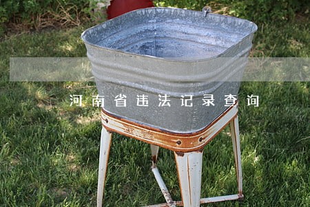 河南省违法记录查询