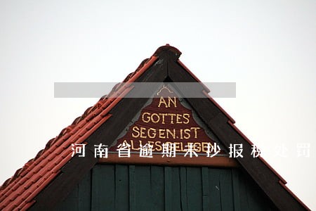 河南省逾期未抄报税处罚流程 河南省逾期未抄报税处罚流程