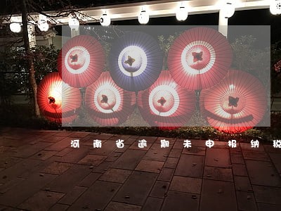 河南省逾期未申报纳税 河南省逾期未申报纳税