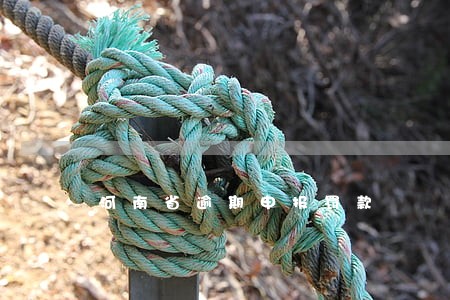 河南省逾期申报罚款 河南省逾期申报罚款