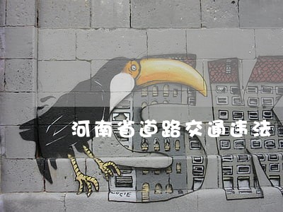 河南省道路交通违法 河南省道路交通违法