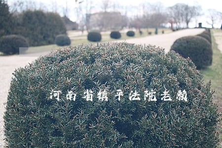 河南省镇平法院老赖 河南省镇平法院老赖