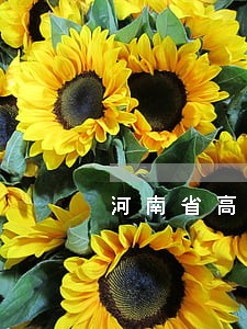 河南省高院法律援助中心 河南省高院法律援助中心