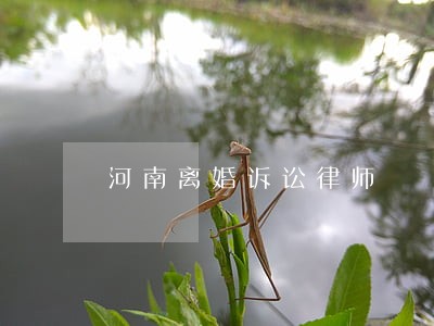河南离婚诉讼律师 河南离婚诉讼律师
