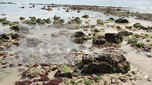 河南税务申报逾期 河南税务申报逾期