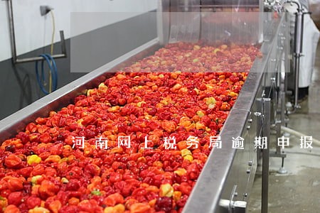 河南网上税务局逾期申报