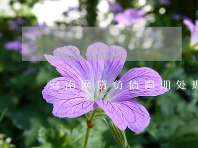 河南网贷负债逾期处理律师 河南网贷负债逾期处理律师