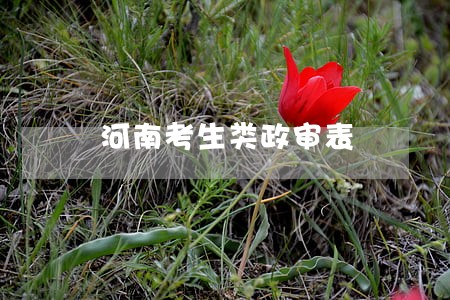 河南考生类政审表 河南考生类政审表