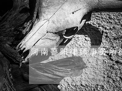 河南蓼阳律师事务所律师 河南蓼阳律师事务所律师