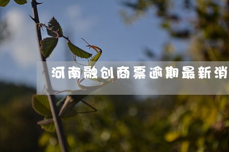河南融创商票逾期最新消息 河南融创商票逾期最新消息
