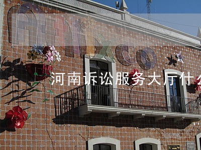 河南诉讼服务大厅什么时候接待 河南诉讼服务大厅什么时候接待