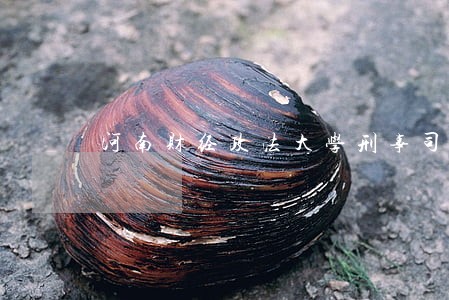 河南财经政法大学刑事司法学院臧 河南财经政法大学刑事司法学院臧