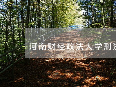 河南财经政法大学刑法分则 河南财经政法大学刑法分则