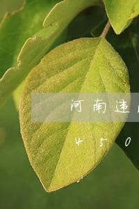 河南违法生育三胎/2023020282450 河南违法生育三胎/2023020282450