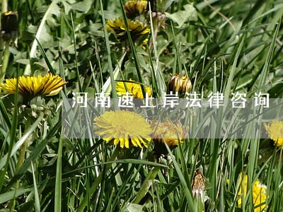 河南速上岸法律咨询 河南速上岸法律咨询