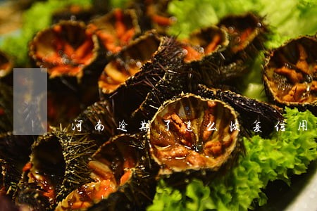 河南逾期了怎么恢复信用 河南逾期了怎么恢复信用
