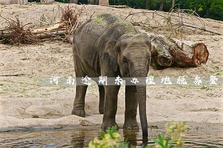 河南逾期未办理地税务登记 河南逾期未办理地税务登记