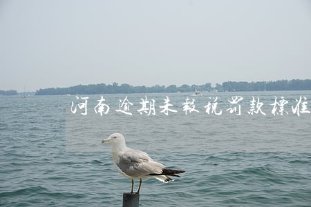 河南逾期未报税罚款标准 河南逾期未报税罚款标准