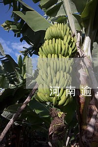 河南逾期还不上债务优化 河南逾期还不上债务优化