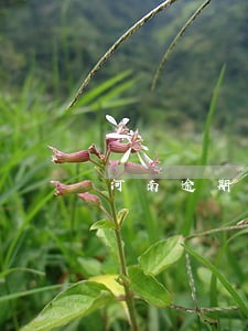 河南逾期还不上债务规划师靠谱吗 河南逾期还不上债务规划师靠谱吗