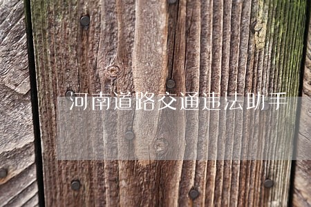 河南道路交通违法助手