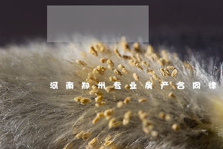河南郑州专业房产合同律师 河南郑州专业房产合同律师