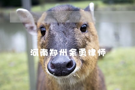 河南郑州余勇律师 河南郑州余勇律师