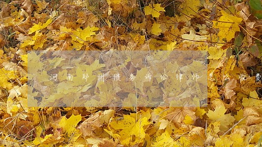河南郑州债务诉讼律师怎么收费 河南郑州债务诉讼律师怎么收费