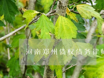 河南郑州债权债务律师怎么收费 河南郑州债权债务律师怎么收费