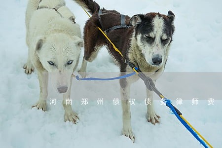 河南郑州债权债务律师费用标准 河南郑州债权债务律师费用标准