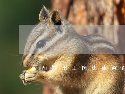 河南郑州工伤法律咨询 河南郑州工伤法律咨询