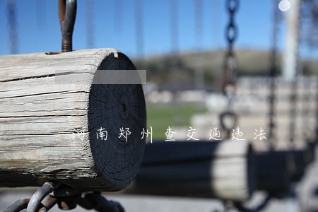 河南郑州查交通违法