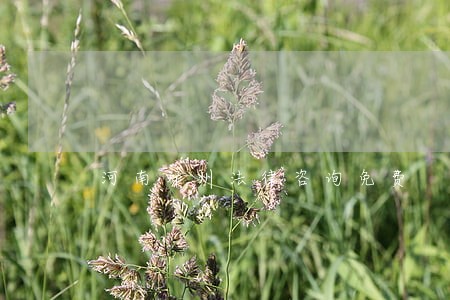 河南郑州法律咨询免费 河南郑州法律咨询免费